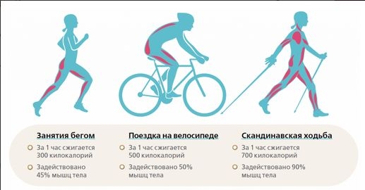 Что лучше, бег или велосипед?