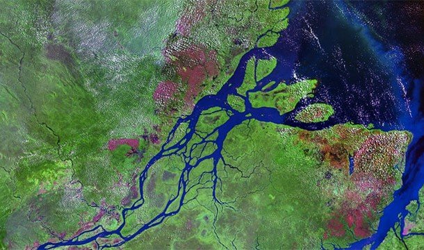 Невероятные факты про Амазонку, которые делают её уникальнейшим местом на Земле