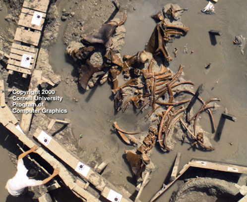 Место раскопок, которое было использовано для "-изготовления"- дурилки с индийским скелетом