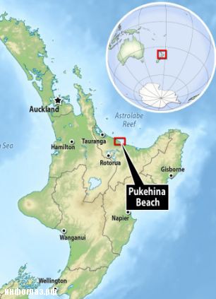 Существо было найдено выбросило на берег пляжа Pukehina в заливе Изобилия у берегов Новой Зеландии