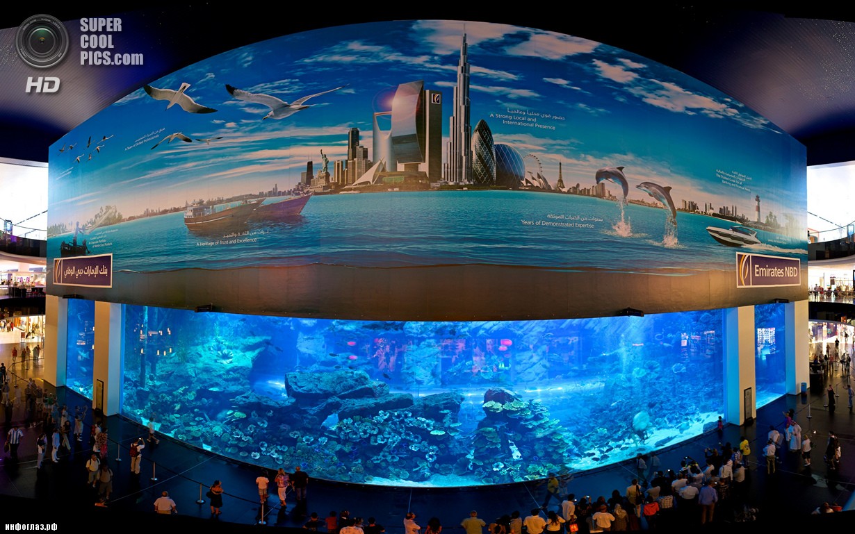 2 место. ОАЭ. Дубай. Аквариум в торгово-развлекательном центре «Дубай». Общий объем воды составляет 10 млн л. (Paul Gregory)