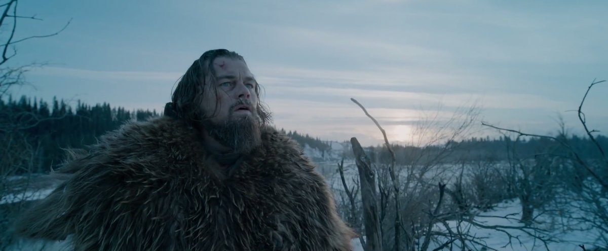 the-location-where-dicaprio-finds-the-bison-herd-was-discovered-by-accident