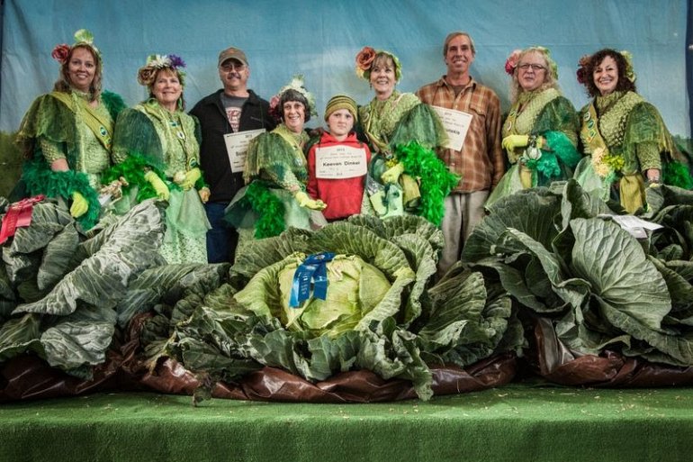 Почему на Аляске растут овощи-гиганты? (8 фото)