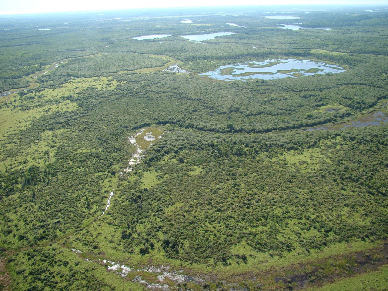 pantanal2.jpg