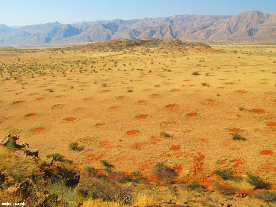 Загадочные круги в пустыне Намиб