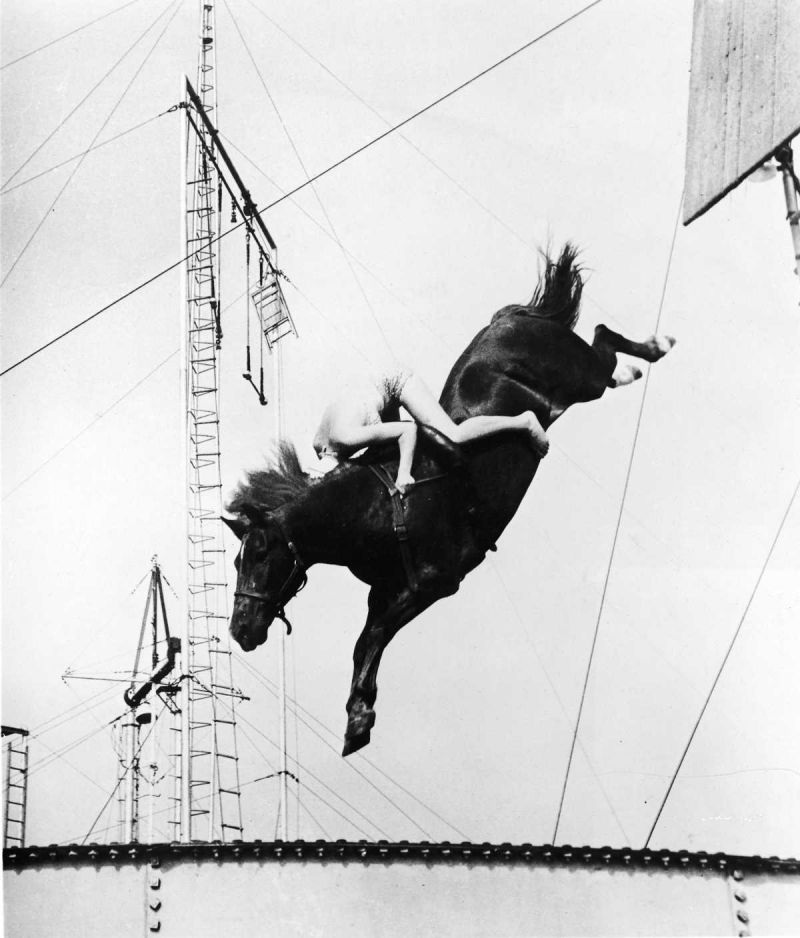 Лошадиный дайвинг — прыжки в воду на лошади с 18-метровой высоты
