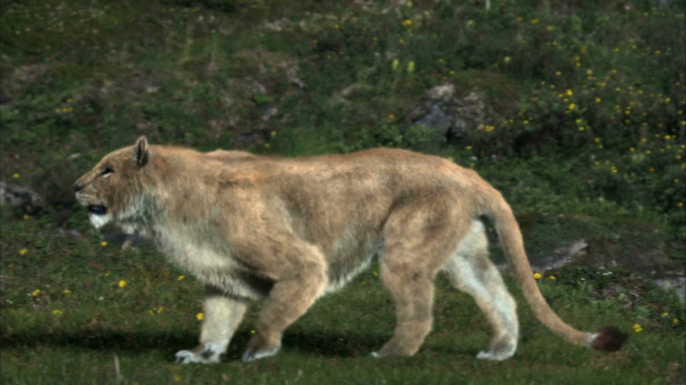9. Пещерный лев (Якутия). динозавры, доисторические животные, животные, история