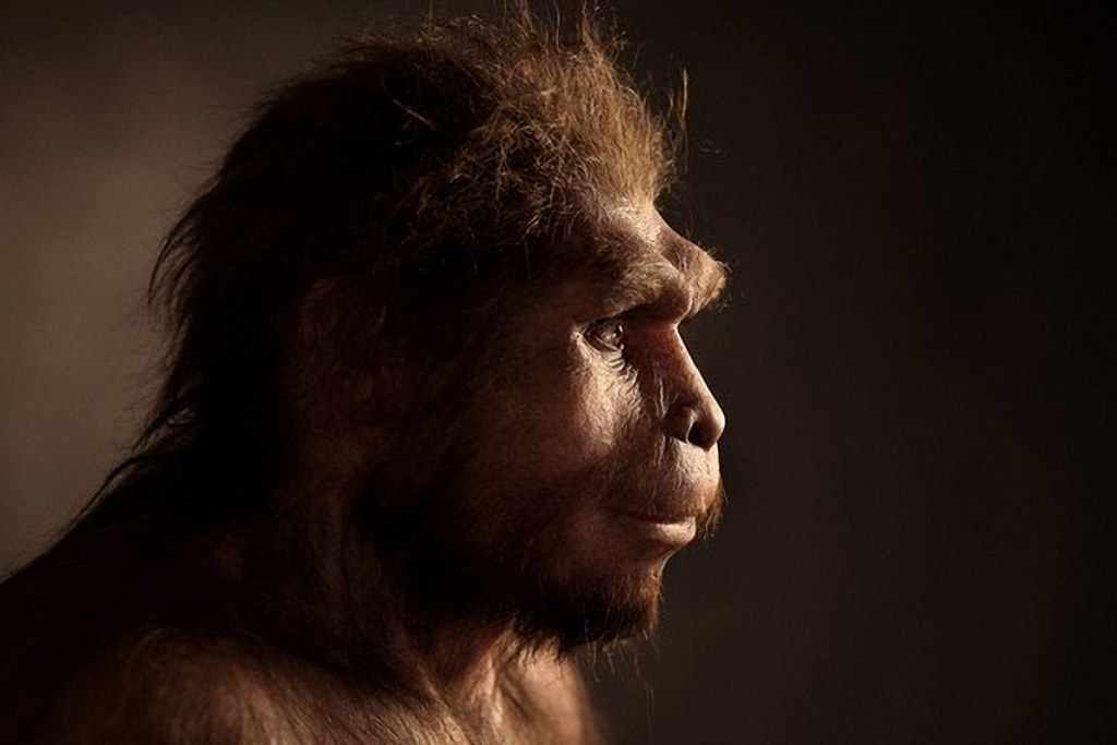 Doistoricheskie lyudi zhivshie milliony let nazad 8 Доисторические люди жившие миллионы лет назад
