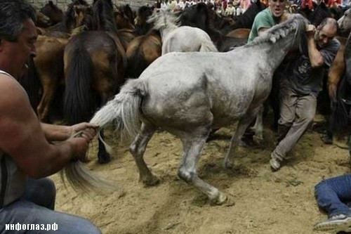 Horse-Wrestling-in-Spain
