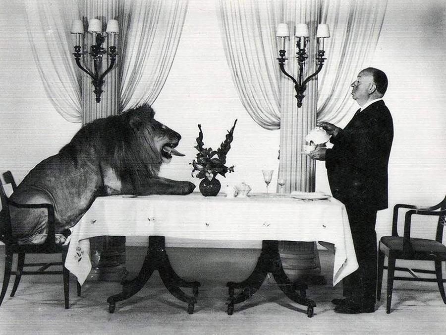 Альфред Хичкок подает чай льву, снявшемуся в качестве логотипа компании MGM. 1957 год.