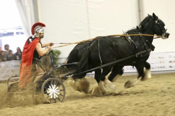 В Древнем Риме допингом потчевали даже лошадей, участвовавших в состязаниях колесниц