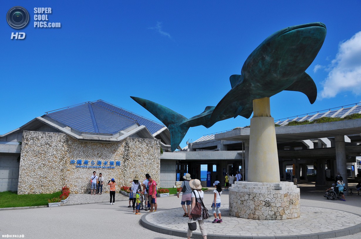 Япония. Окинава. Аквариум в Океаническом выставочном парке. (Rosanna Leung)