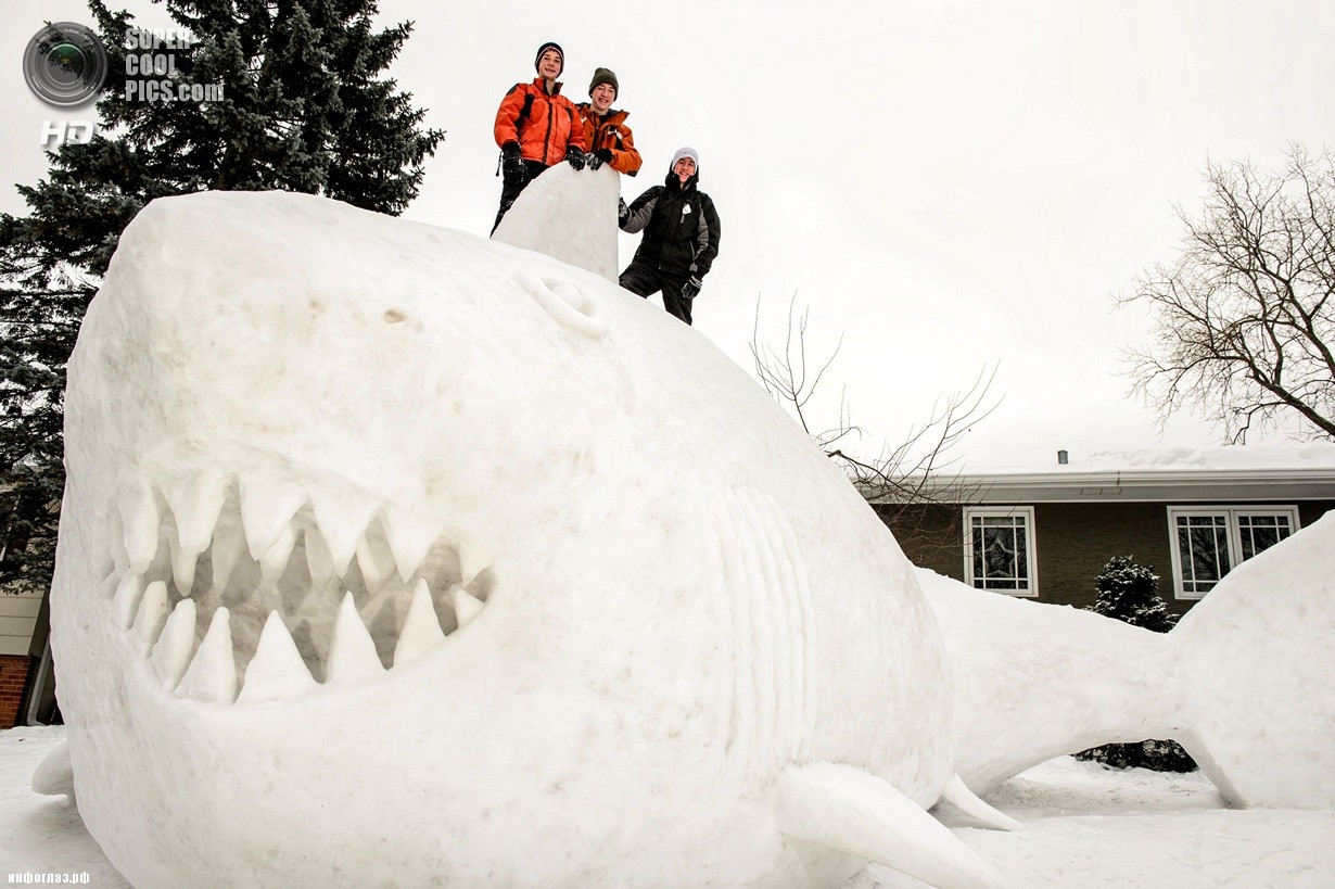 США. Нью-Брайтон, Миннесота. 1 января. Последствия рекордных морозов. (AP Photo/Glen Stubbe)