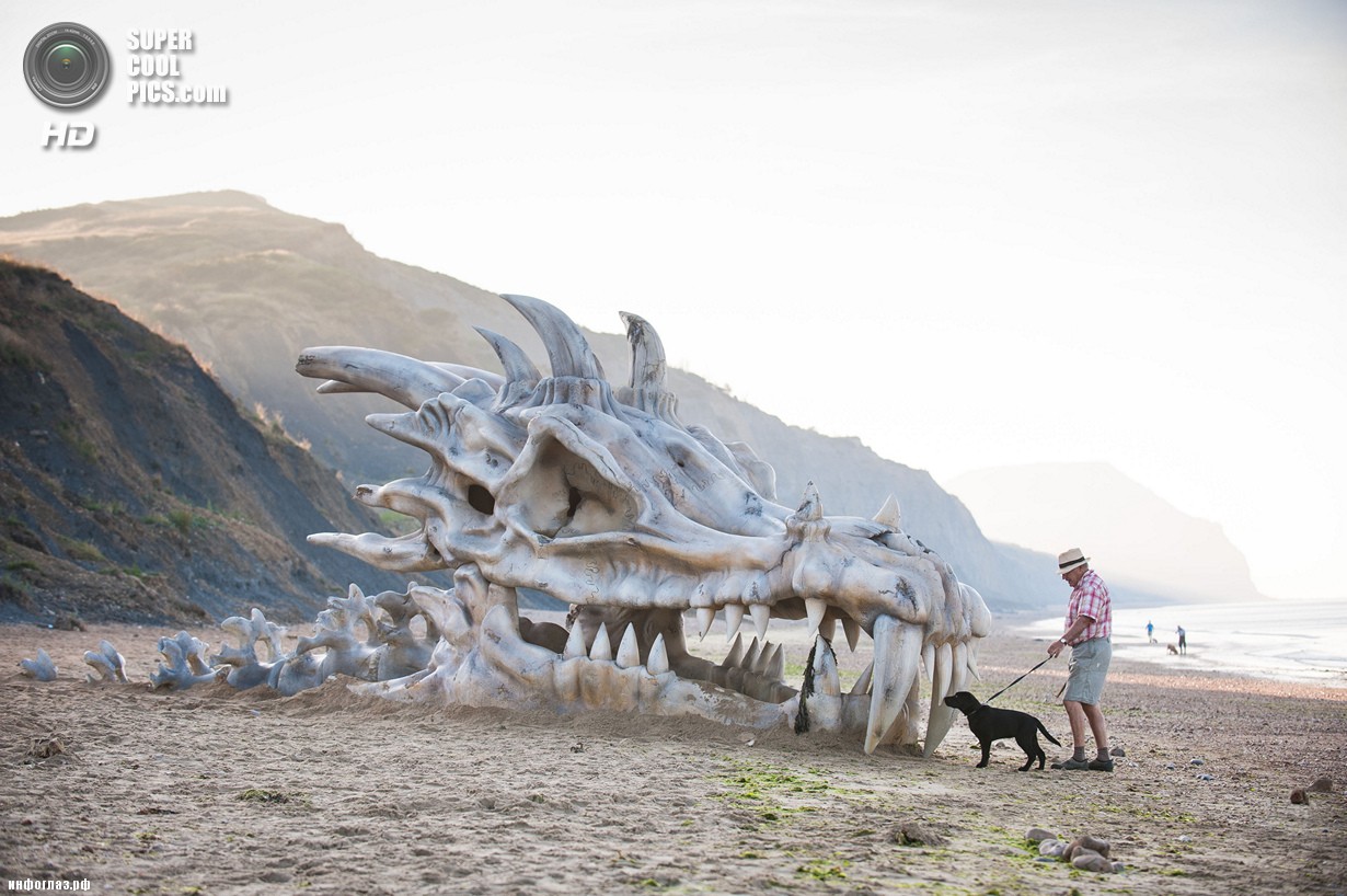 Великобритания. Лайм-Реджис, Дорсет, Англия. 15 июля. Мужчина с собакой у скульптуры в виде черепа дракона. (DANIEL LEWIS/blinkbox)
