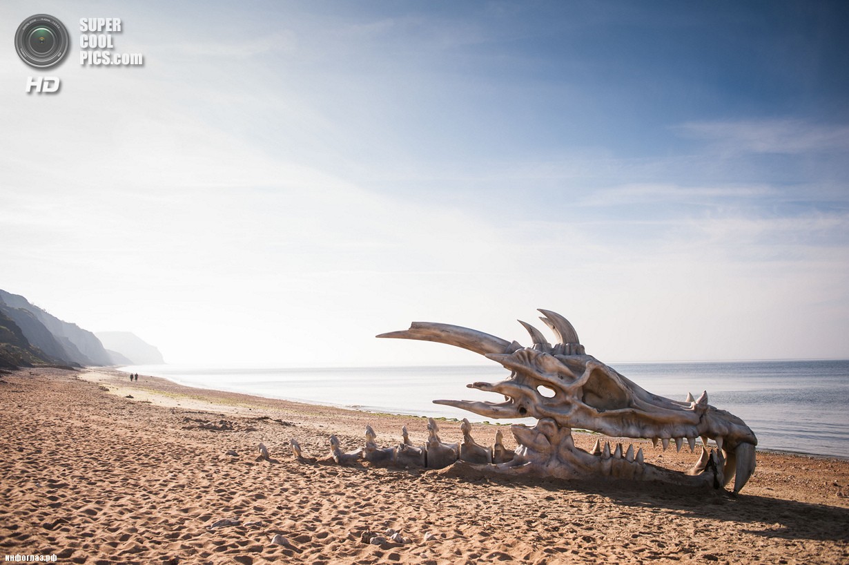 Великобритания. Лайм-Реджис, Дорсет, Англия. 15 июля. Скульптура в виде черепа дракона. (DANIEL LEWIS/blinkbox)